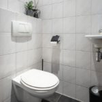 2-onder-1 kapwoning Middalharnis Berkenhof 20 toilet